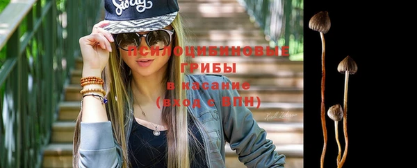ПСИЛОЦИБИНОВЫЕ ГРИБЫ Абинск