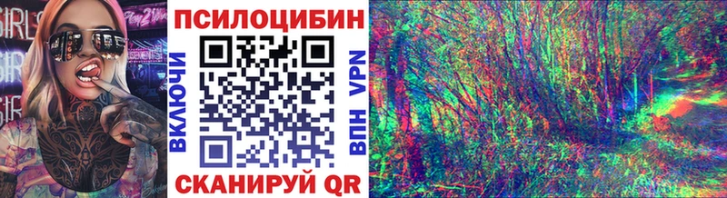 OMG маркетплейс  Кингисепп  Псилоцибиновые грибы ЛСД  наркошоп 