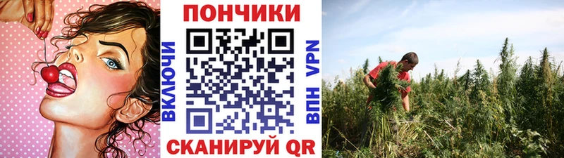 Канабис сатива  где можно купить наркотик  Кингисепп 